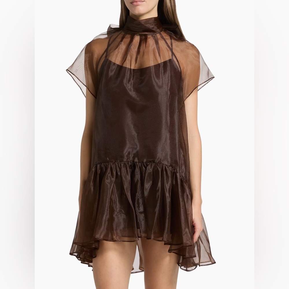 Chic Sheer Brown Mini Dress
